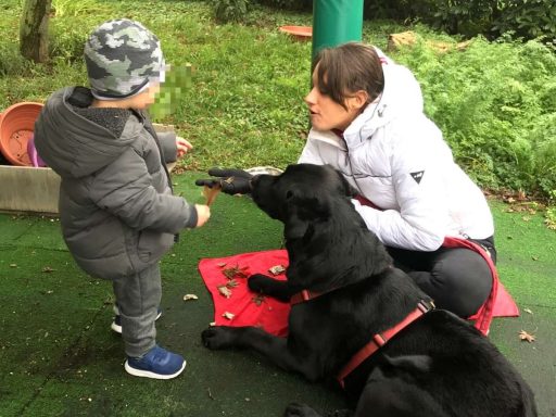 Weekend Experience: Pet Therapy