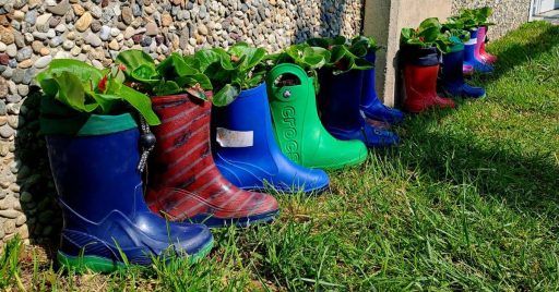 Outdoor Education: imparare all'aria aperta nel nostro Giardino Didattico