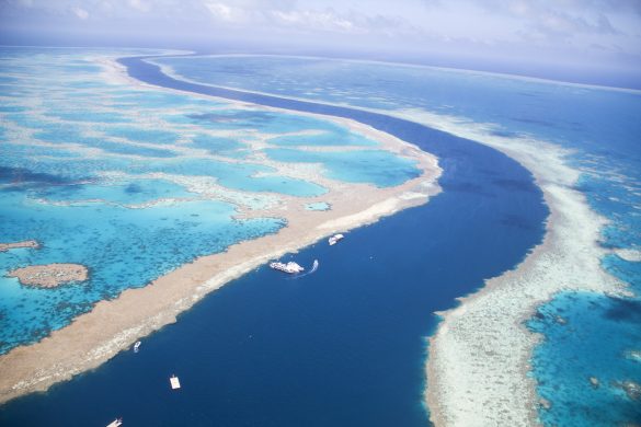 Grande barriera corallina - Australia