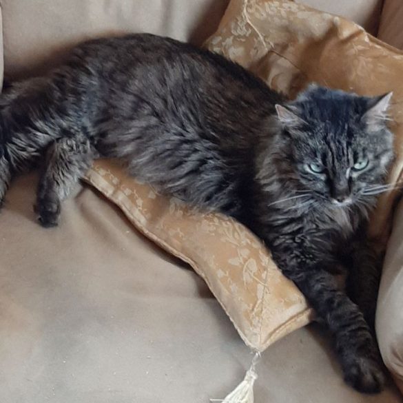 Ludwig, aka Topesio, di Maura