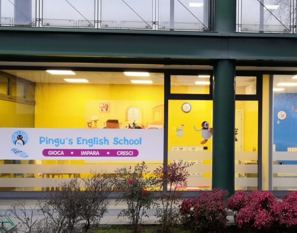 Pingu's English Castelfranco Veneto