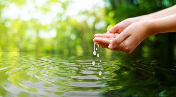 World Water Monitoring Day